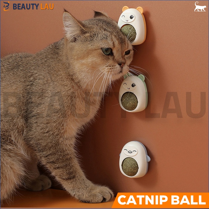 CATNIP BALL KUCING TEMPEL AVOCADO BOLA CATNIP PUTAR LUCU CATMINT MAINAN BUAT KUCING RELAKSASI