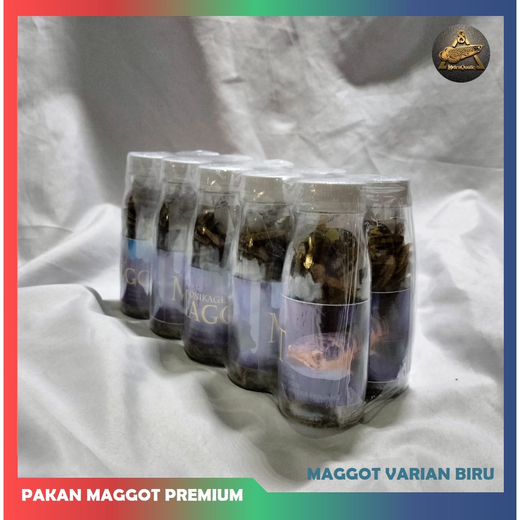 SPESIAL ! MAGGOT KERING PAKAN PREMIUM CHANNA BOOSTER WARNA IKAN CHANNA MAGGOT KERING CHANNA PAKAN IKAN CHANNA PELET CHANNA PAKAN IKAN PREDATOR MAGGOT KERING MERAH KUNING BIRU BOOSTER WARNA IKAN CHANNA PAKAN IKAN PREDATOR