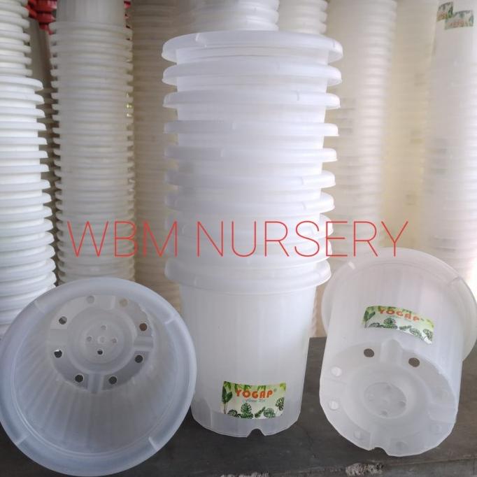 LUSINAN. Pot Yogap YPT 13