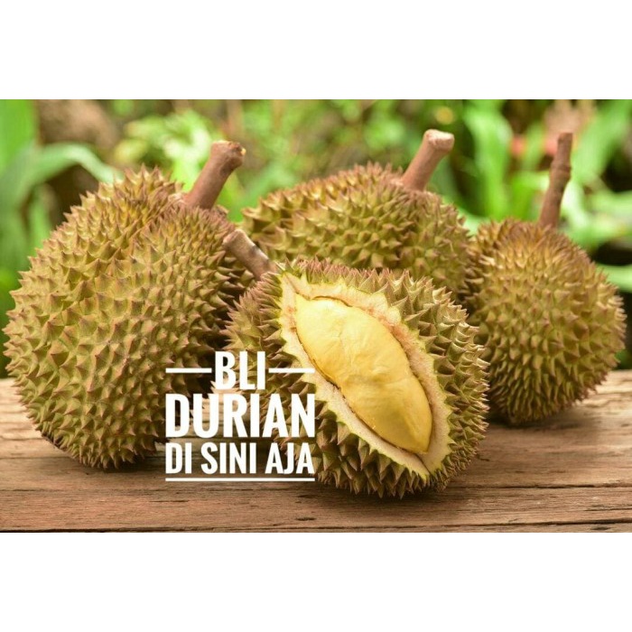 

✨NEW✨ -Daging Durian Beku untuk RESTO SOP DURIAN termurah di - 2.2.23