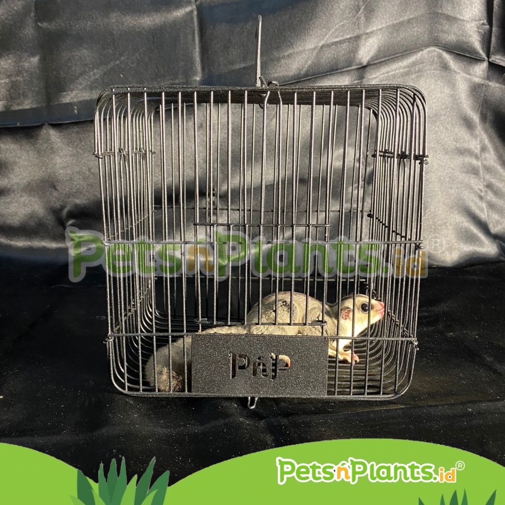 PnP Kandang Besi Hamster Sugar Glider 21x21x15 cm