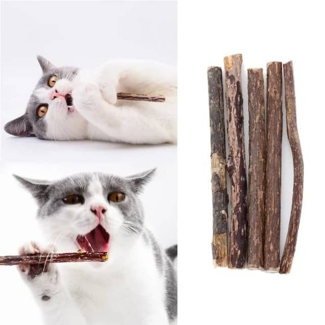 Catnip STICK Snack Kucing - Catnip Murni Natural - Cat Pet Toys