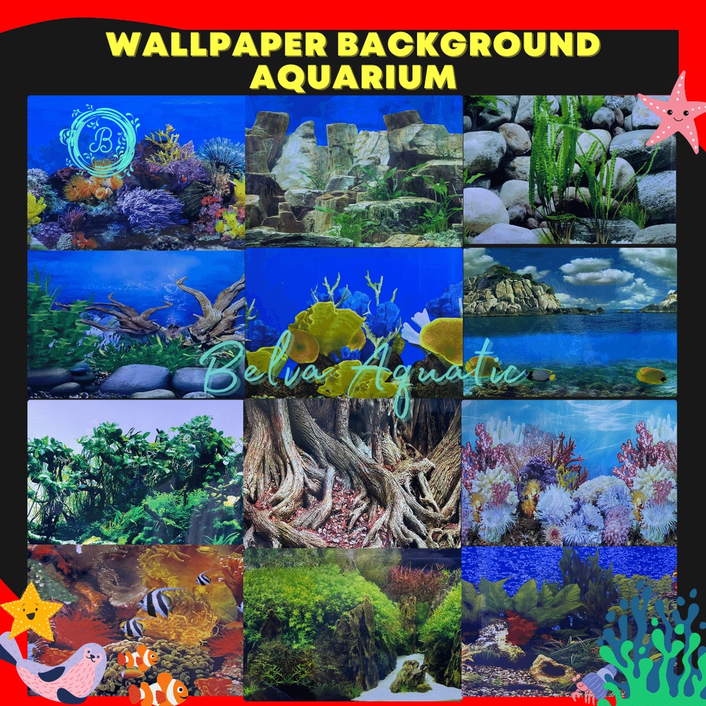 Background Wallpaper Aquarium Panjang Meteran Tinggi 30 40 50 60 cm Begron Gambar Belakang Cover Kaca Per 1 Meter  Hiasan Dekorasi Hias Tank Ikan Sklotlet 30cm 40cm 50cm 60cm