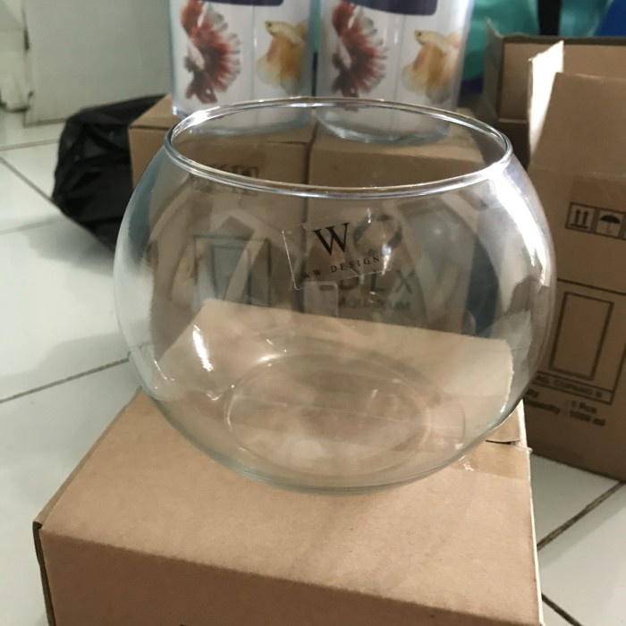 Vas Vas Bunga Bulat Kaca Bening 2 Liter Pot Bunga Kaca Bulat Lucu Cylinder