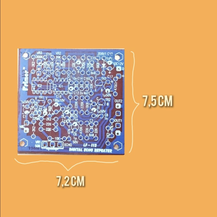 PCB Digital Echo Repeater (LF 115)