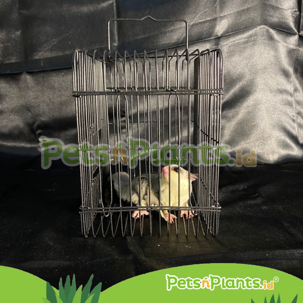 PnP Kandang Besi Hamster Sugar Glider 21x21x15 cm