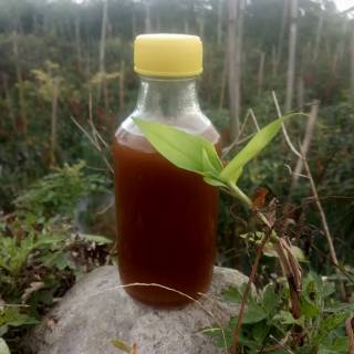 

Madu Teuweul klanceng Murni Botol uc asli 1000 Halal Pirt Bergaransi terlaris termurah grosir bee honey bee