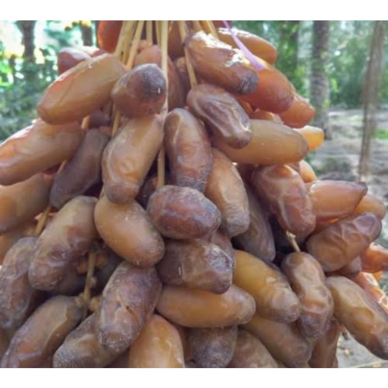 kurma Tunis tangkai Palm'fruit 100% asli original kemasan selalu terbaru