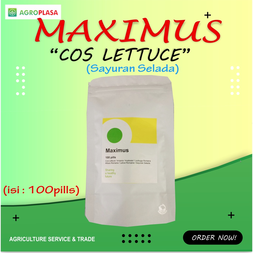 benih romaine maximus rz 100 pills