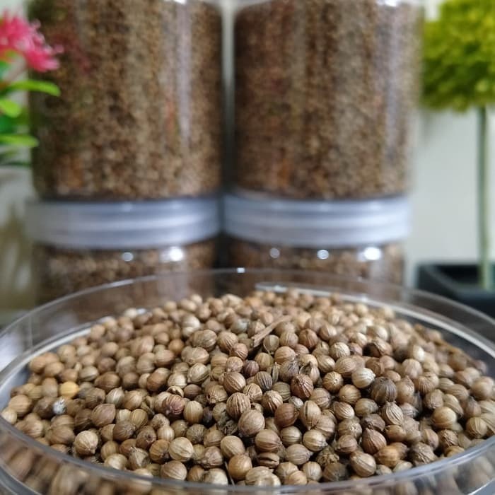 

HS Biji Ketumbar Bulat Super | 1kg | Premium Asli Organik