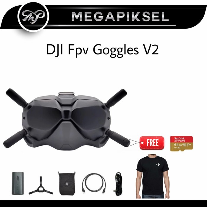 DJI Goggles FPV Headset