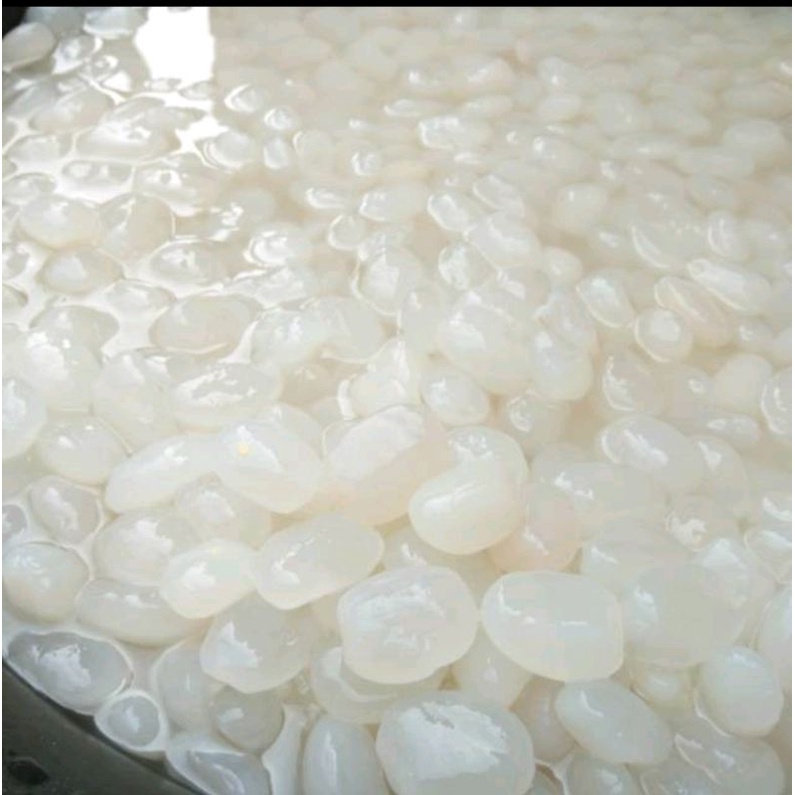 

buah kolang Kaling muda segar 500 gram empuk dan tida bau asam