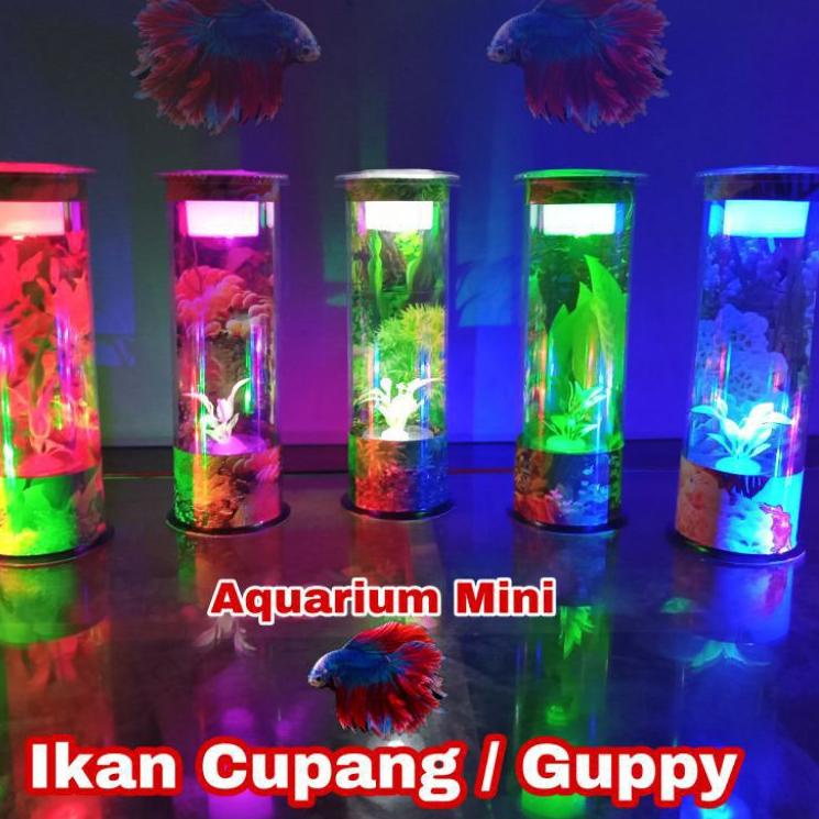 GROSIR_JAKARTA AQUARIUM IKAN CUPANG MINI TABUNG FULL HIASAN DAN LAMPU / AKUARIUM MINI CUPANG BULAT G