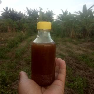 

Madu kele kele klanceng Murni Botol uc asli 1000 Halal Pirt Bergaransi terlaris termurah grosir bee honey bee