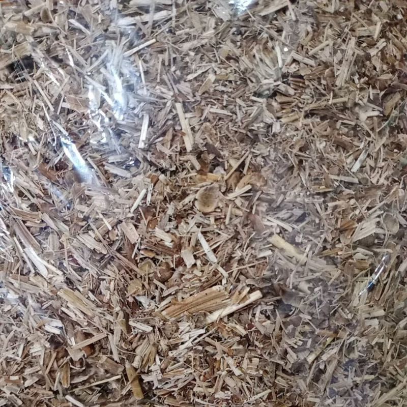 Kangkung kering kemasan 1kg Pakan kelinci, kambing, marmud, hamster dll