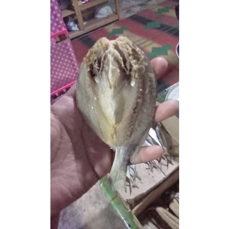 

ikan asin bulama/kepala batu