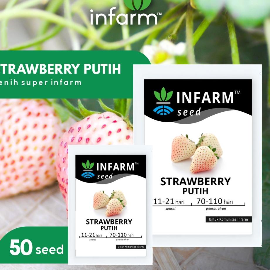【murah】 INFARM - Benih Bibit Biji Super Buah Strawberry Putih Besar Manis