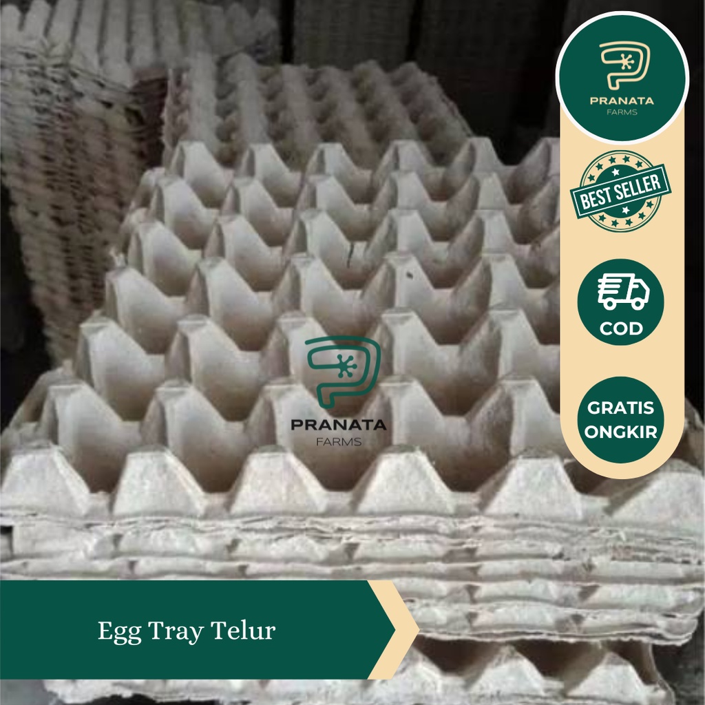 Tempat / alas / Rak Telor / Tray Telur kertas /Karton 30 lubang Telur Ayam/bebek