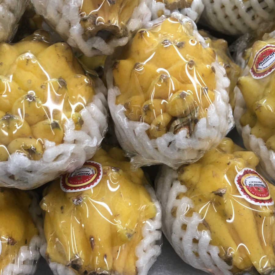 

Buah Naga Kuning Nusantara Manis Kulit Tipis 1 Kg