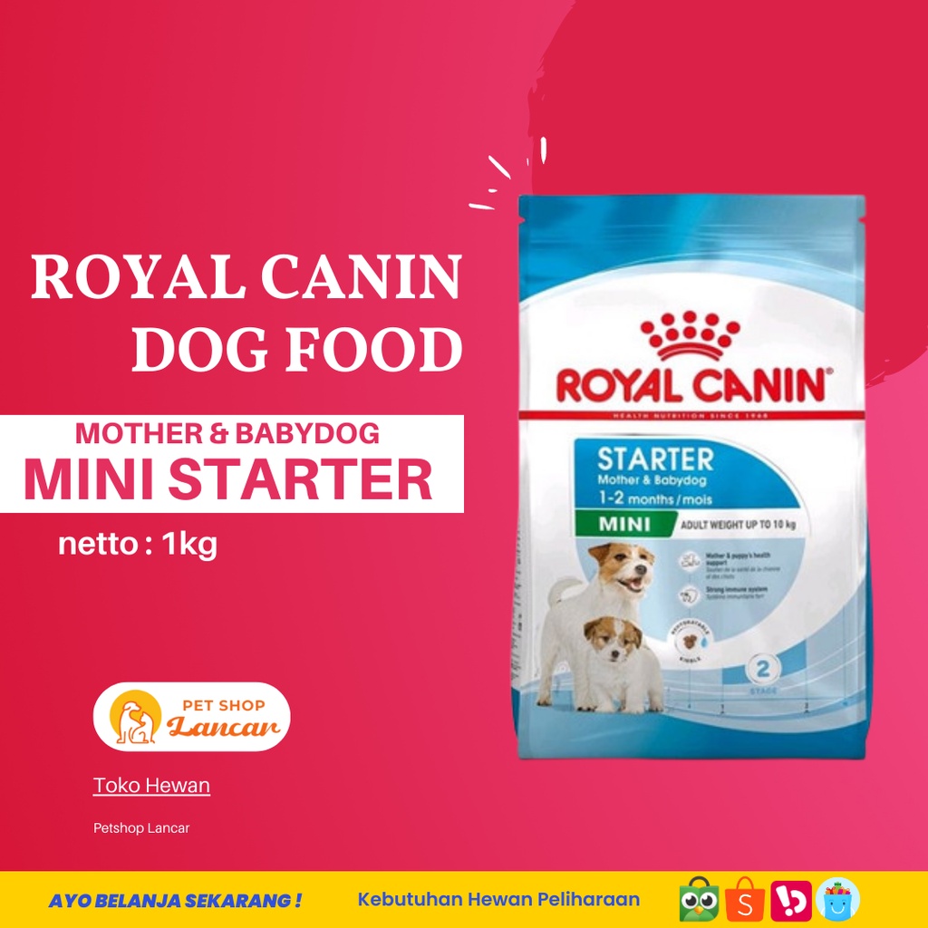 Royal Canin Mini Starter Mother &amp; Baby Dog 1Kg