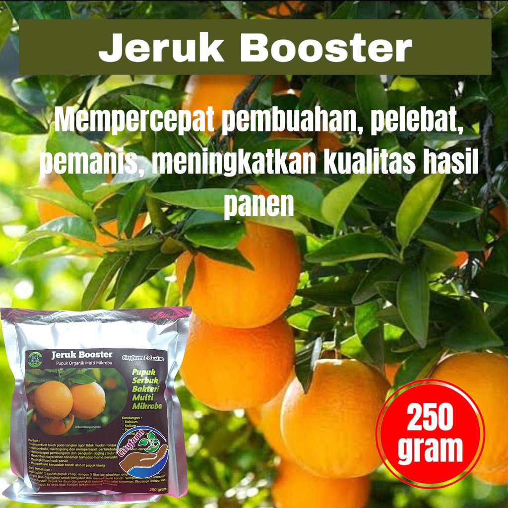 Pupuk Booster Jeruk Super Organik Pelebat Buah Dan Anti Rontok 250gr