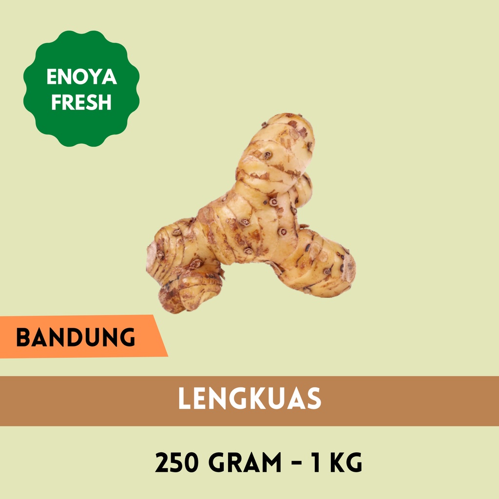 

Lengkuas 250 gr - 1 kg Bandung