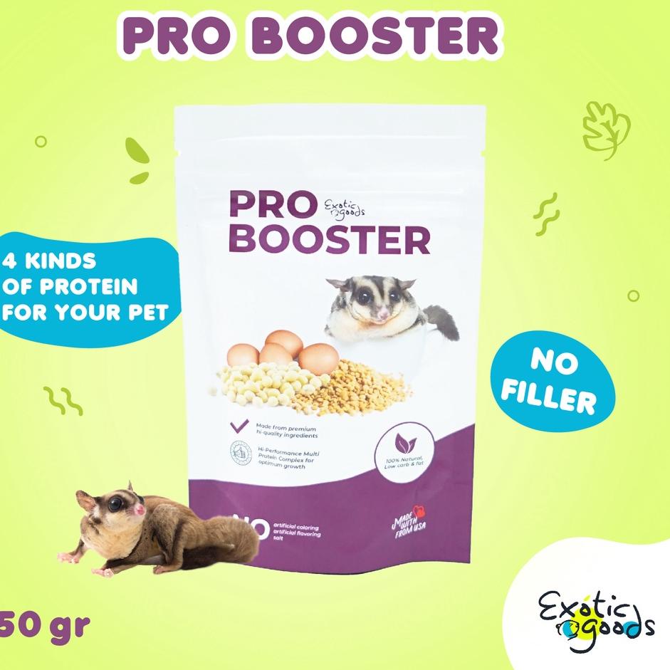 (Terbaik) PRO BOOSTER 50gr VITAMIN SUGAR GLIDER MAKANAN SUGAR GLIDER PROTEIN BOOSTER PROBOOSTER