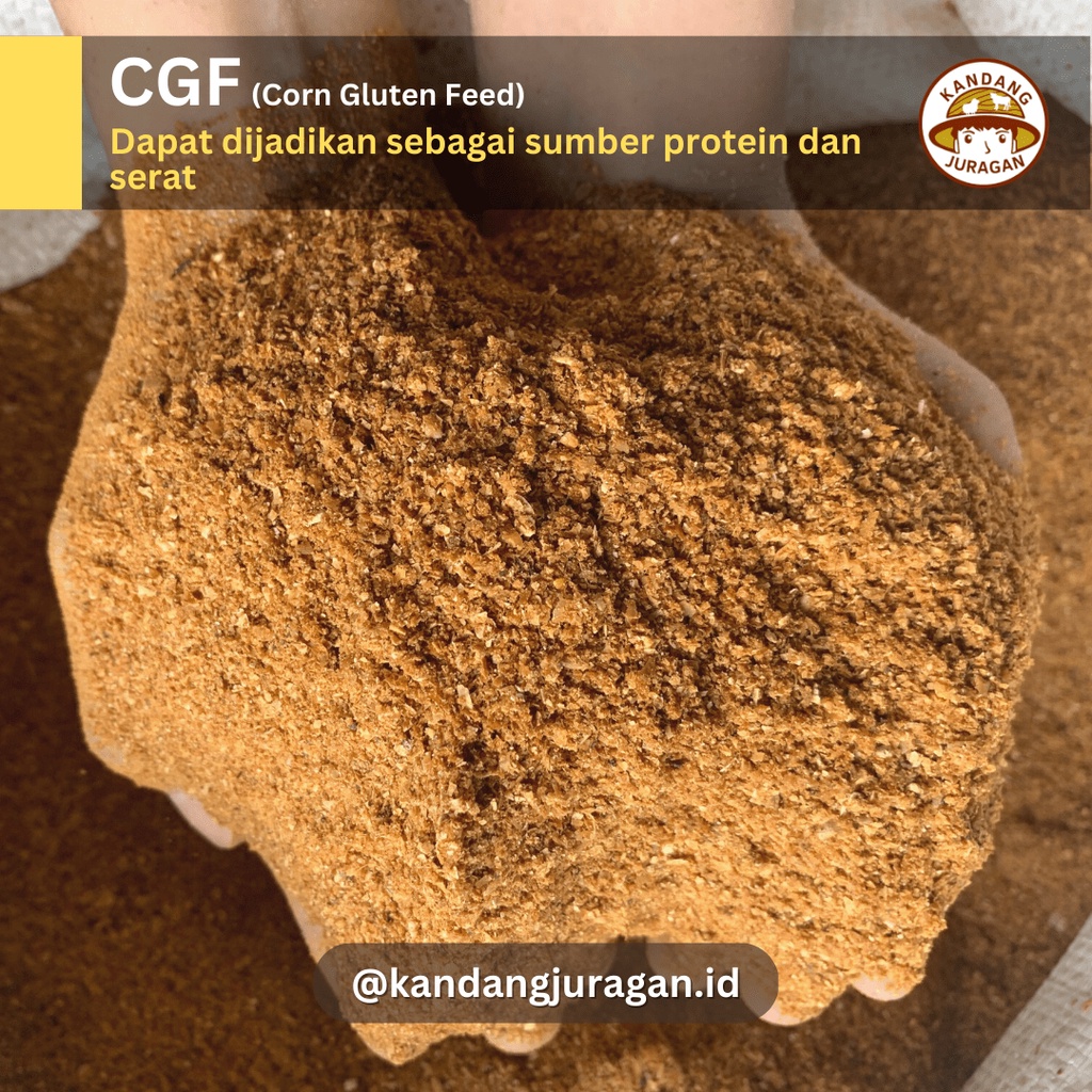 CGF 10 Kg (Corn Gluten Feed) | Pakan ternak tinggi protein dan serat