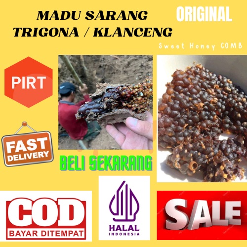 

Madu sarang asli trigona beekeeper bee kualitas terbaik madu murni madu asli madu alami madu mentah