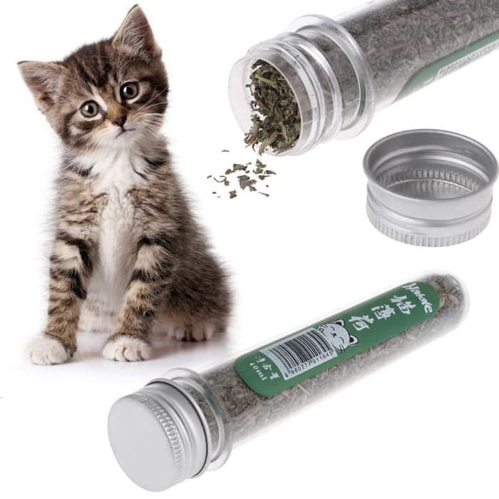 Catnip Tube Tabung 40ml Penenang Kucing Dijilat Kucing  PURE CATMINT POWDER - BIKIN FLY KUCING