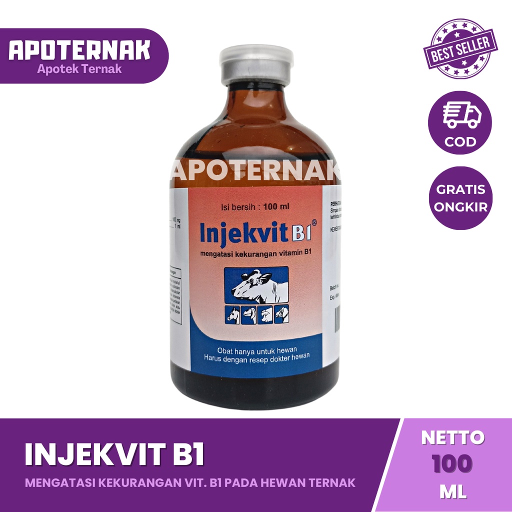 INJEKVIT B1 100 mL | Mengatasi Kekurangan Vitamin B1 Pada Sapi Kerbau Kuda Kambing Domba Ayam Anjing Kucing Hewan Ternak | Vitamin B1