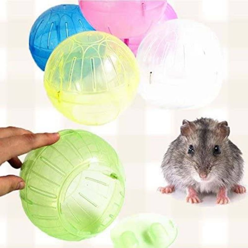 Mainan Hamster Jogging Ball Bola Bergerak Olahraga Hamster Bola Wheel