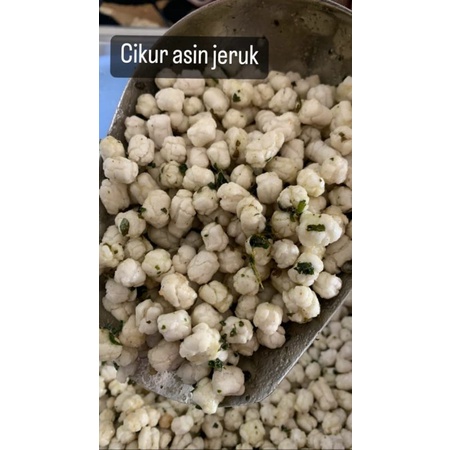 

Pilus Cikur