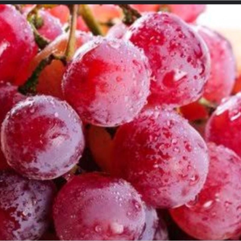 

Buah Anggur Merah Australia Fresh Manis ( 500 Gr )