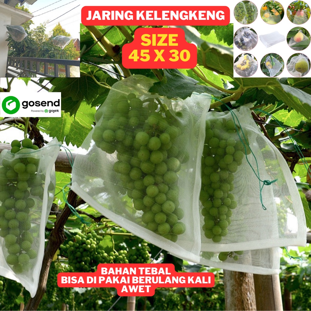 Net Jaring Pembungkus Buah Brongsong Kelengkeng Fruit cover