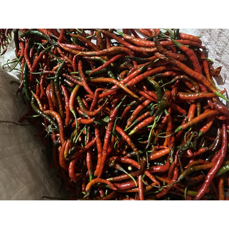 

1kg cabai cocok untuk blender dan sambal