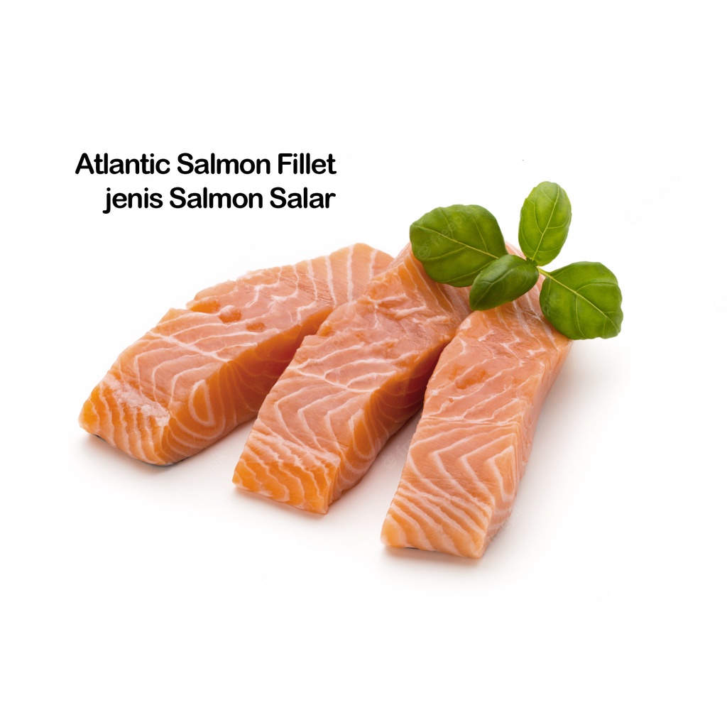 Salmon Fillet Norwegia 100gr | Norway Salmon | Salmon Norwegia