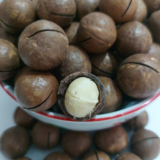 

Kacang Macadamia Kulit Matang Panggang/Oven 500gram