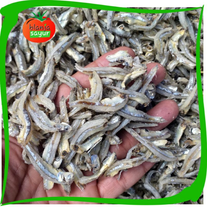 

Ikan Teri Bulat/Teri Kacang