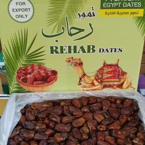 

KS249 // Kurma Mesir 1000gr / Kurma REHAB Dates || KImarli.Store