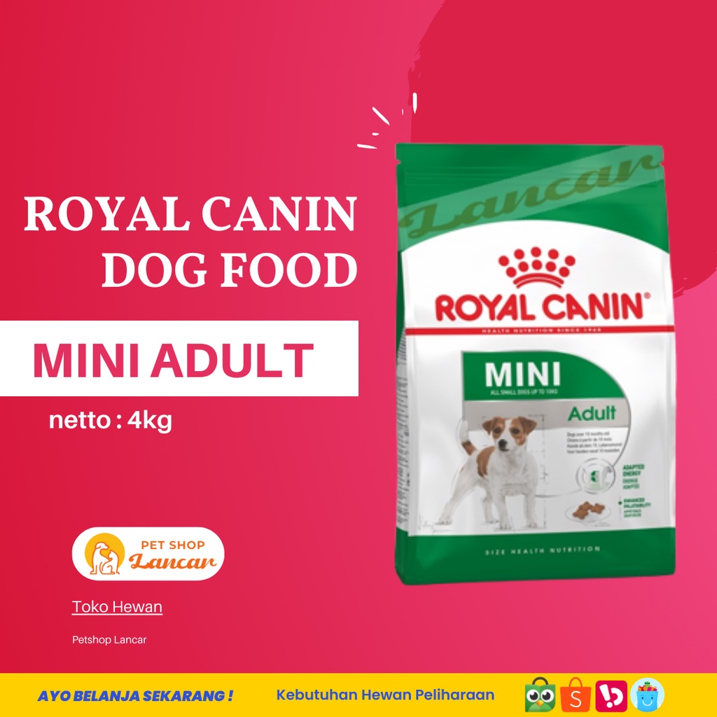 Royal Canin Mini adult 4Kg