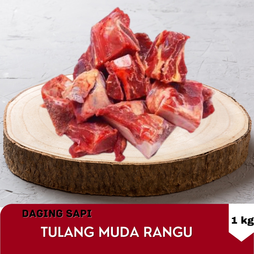

Scapula Tulang Muda Rangu Sapi