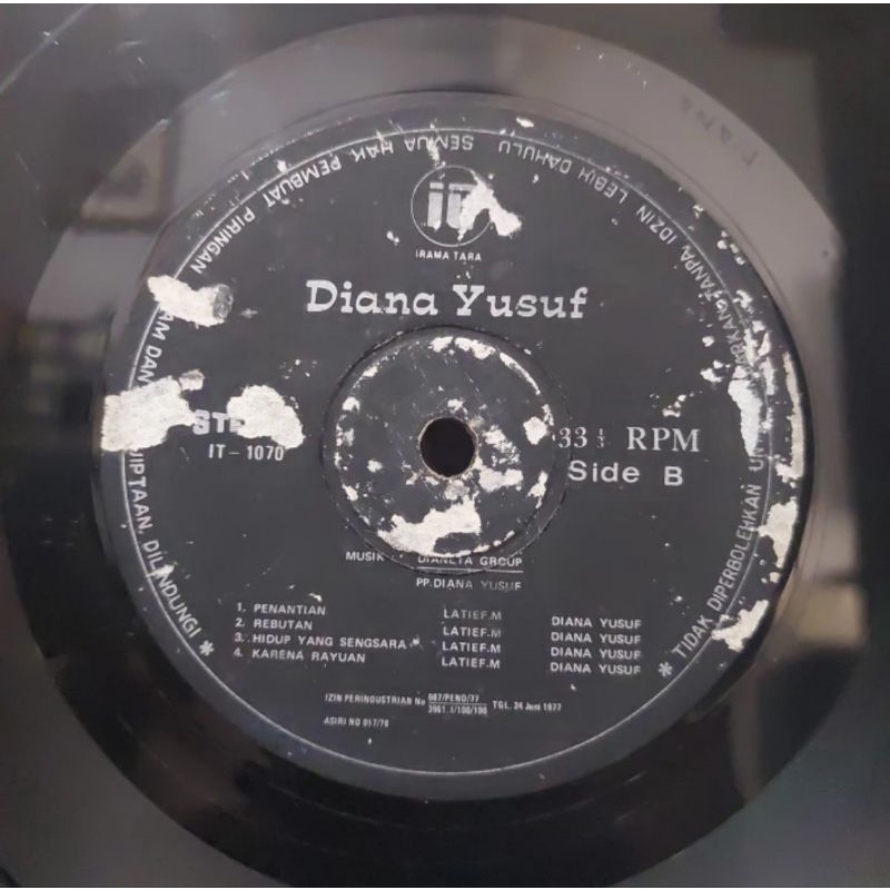 Vinyl Piringan Hitam 12 inch Diana Yusuf-Penantian