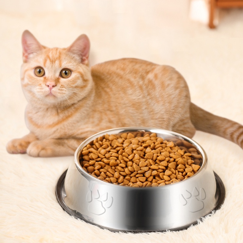 Mangkok Makanan Hewan Peliharaan Mangkuk Stainless Steel  Dasar Karet Anti-Slip Wadah Tempat Makan Kucing Anjing Pet Feeder Bowl