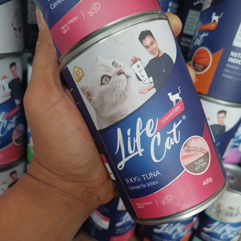 life cat tuna kitten