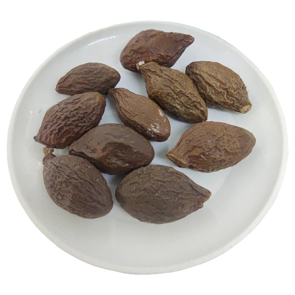 

Buah Tempayang 50gr - Kembang Semangkuk - Fismiana Affinis Kualitas Terbaik