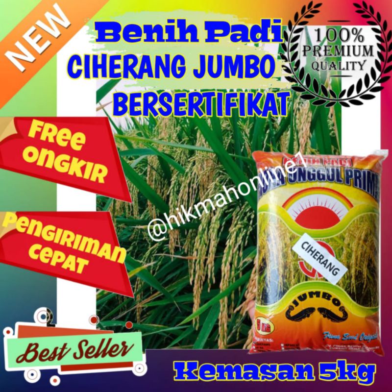 Benih padi Ciherang Jumbo Bersertifikat label ungu kemasan 5kg