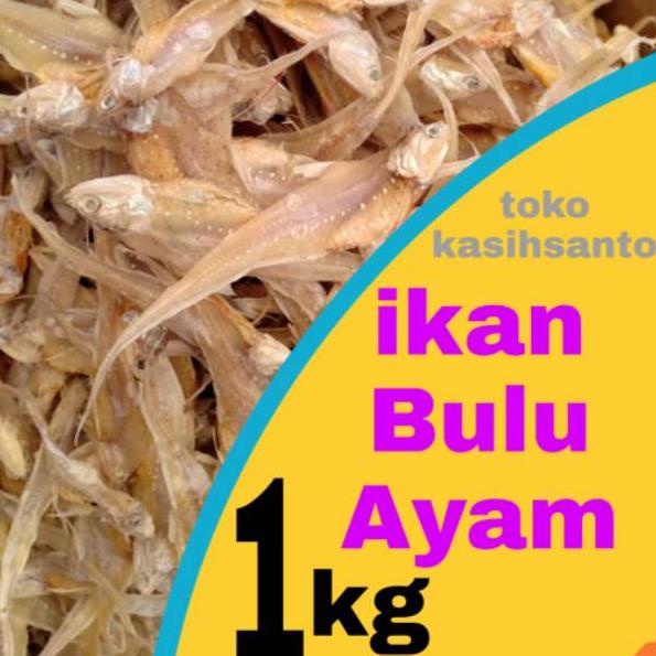 

✿ Ikan asin bulu ayam super-1kg ✸