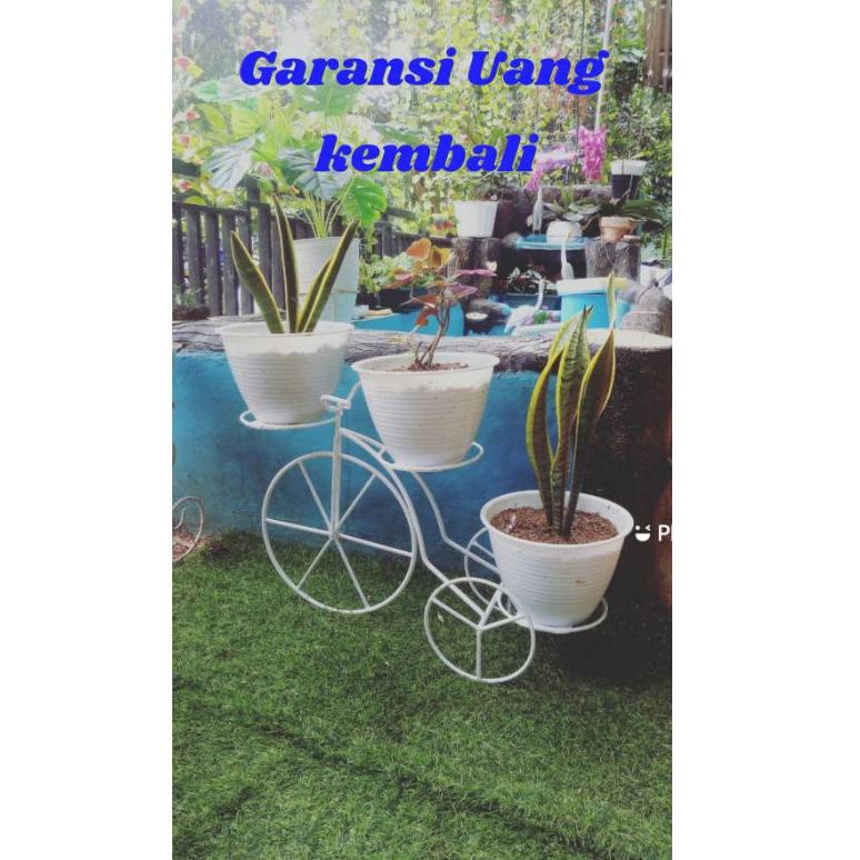 𝕴 rak bunga sepeda rak pot bunga rak pot besi ▶