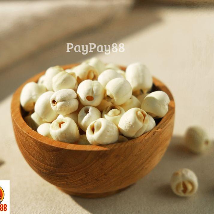 

☊ BIJI TERATAI KERING PREMIUM - WHITE LOTUS SEED IMPORT - LIENCI - LIEN CI - LIAN ZHI - LIAN ZI 500 GRAM ♜